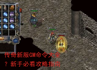 �����·�GM�����ȫ�����ֱؿ�����ָ��