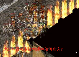 ���������汾���ﱬ����β�ѯ��