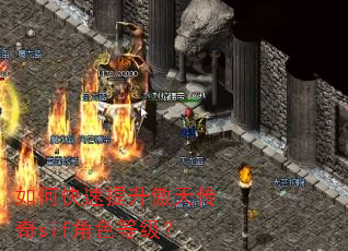 ��ο����������촫��sif��ɫ�ȼ���