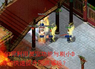 ���������蹦����ˢСBOSS��������ͼ�ڵȼ���