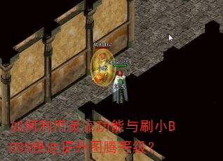 ���������蹦����ˢСBOSS��������ͼ�ڵȼ���