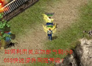 ���������蹦����ˢСBOSS��������ͼ�ڵȼ���