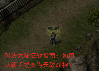 �귨��½��սָ�ϣ���δ������ɱ�Ϊ�޵�ս��