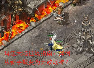 �귨��½��սָ�ϣ���δ������ɱ�Ϊ�޵�ս��