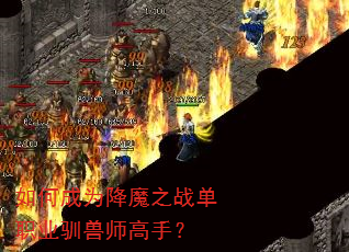 ��γ�Ϊ��ħ֮ս��ְҵѱ��ʦ���֣�