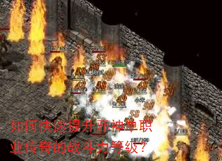 ��ο�������а��ְҵ�����ս�����ȼ���