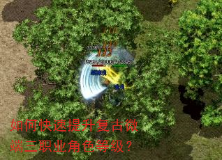 如何快速提升复古微端三职业角色等级? 如何快速提升复古微端三职业角色等级?