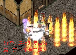 如何快速提升复古微端三职业角色等级? 如何快速提升复古微端三职业角色等级?