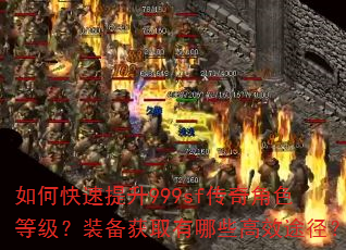 如何快速提升999sf传奇角色等级?装备获取有哪些高效途径? 如何快速提升999sf传奇角色等级?装备获取有哪些高效途径?