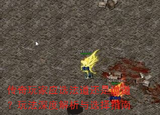 传奇玩家应选法道还是道道?玩法深度解析与选择指南 传奇玩家应选法道还是道道?玩法深度解析与选择指南