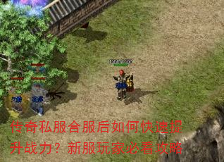 传奇私服合服后如何快速提升战力?新服玩家必看攻略 传奇私服合服后如何快速提升战力?新服玩家必看攻略