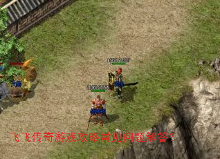 飞飞传奇游戏攻略常见问题解答? 飞飞传奇游戏攻略常见问题解答?