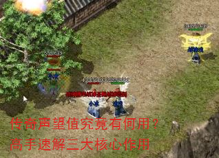 传奇声望值究竟有何用?高手速解三大核心作用 传奇声望值究竟有何用?高手速解三大核心作用