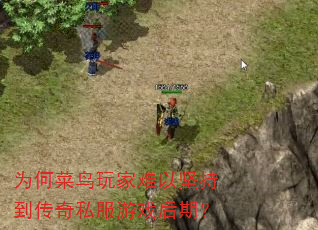 为何菜鸟玩家难以坚持到传奇私服游戏后期? 为何菜鸟玩家难以坚持到传奇私服游戏后期?