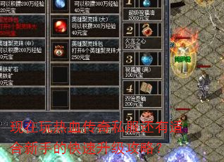 现在玩热血传奇私服还有适合新手的快速升级攻略? 现在玩热血传奇私服还有适合新手的快速升级攻略?
