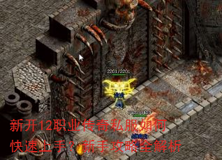 新开12职业传奇私服如何快速上手?新手攻略全解析 新开12职业传奇私服如何快速上手?新手攻略全解析