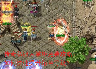 传奇私服大掌柜免费攻略:如何快速提升角色等级? 传奇私服大掌柜免费攻略:如何快速提升角色等级?