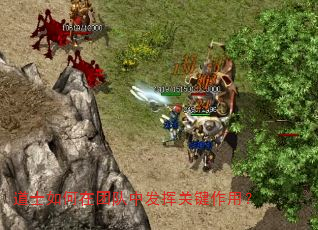 道士如何在团队中发挥关键作用? 道士如何在团队中发挥关键作用?