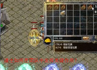 道士如何在团队中发挥关键作用? 道士如何在团队中发挥关键作用?