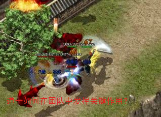 道士如何在团队中发挥关键作用? 道士如何在团队中发挥关键作用?