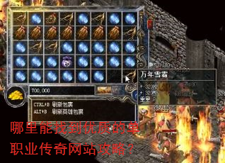 哪里能找到优质的单职业传奇网站攻略? 哪里能找到优质的单职业传奇网站攻略?