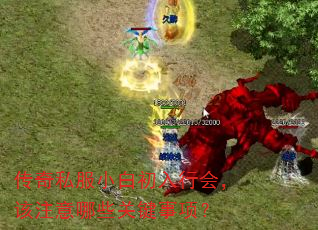 传奇私服小白初入行会,该注意哪些关键事项? 传奇私服小白初入行会,该注意哪些关键事项?