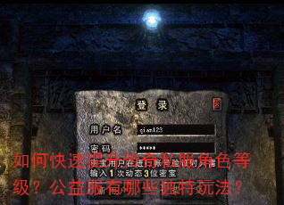 如何快速提升传奇私服角色等级?公益服有哪些独特玩法? 如何快速提升传奇私服角色等级?公益服有哪些独特玩法?