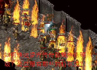 如何快速提升传奇私服角色等级?公益服有哪些独特玩法? 如何快速提升传奇私服角色等级?公益服有哪些独特玩法?