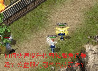如何快速提升传奇私服角色等级?公益服有哪些独特玩法? 如何快速提升传奇私服角色等级?公益服有哪些独特玩法?