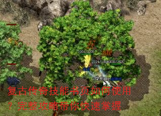 ���Ŵ��漼����ҳ���ʹ�ã��������Դ����������