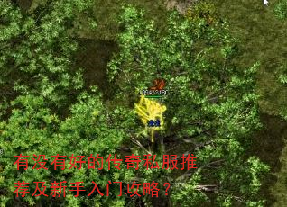 有没有好的传奇私服推荐及新手入门攻略? 有没有好的传奇私服推荐及新手入门攻略?