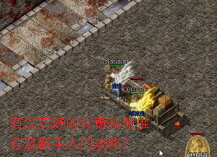 有没有好的传奇私服推荐及新手入门攻略? 有没有好的传奇私服推荐及新手入门攻略?