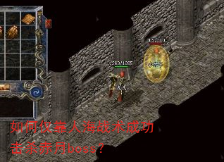 ��ν����˺�ս���ɹ���ɱ����boss��