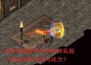 如何快速提升中华传奇私服一条龙角色等级与战力? 如何快速提升中华传奇私服一条龙角色等级与战力?