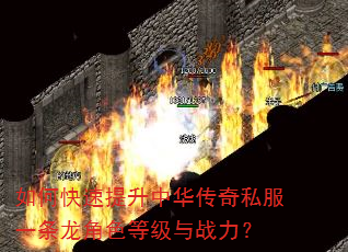 如何快速提升中华传奇私服一条龙角色等级与战力? 如何快速提升中华传奇私服一条龙角色等级与战力?