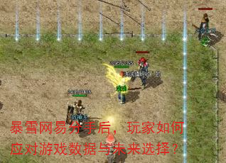 暴雪网易分手后,玩家如何应对游戏数据与未来选择? 暴雪网易分手后,玩家如何应对游戏数据与未来选择?
