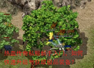 热血传奇私服新手入门,如何快速升级与获取极品装备? 热血传奇私服新手入门,如何快速升级与获取极品装备?