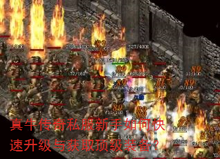 真牛传奇私服新手如何快速升级与获取顶级装备? 真牛传奇私服新手如何快速升级与获取顶级装备?