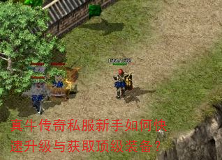 真牛传奇私服新手如何快速升级与获取顶级装备? 真牛传奇私服新手如何快速升级与获取顶级装备?