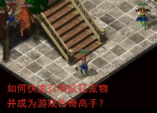 如何快速召唤疯狂宠物并成为游戏传奇高手? 如何快速召唤疯狂宠物并成为游戏传奇高手?