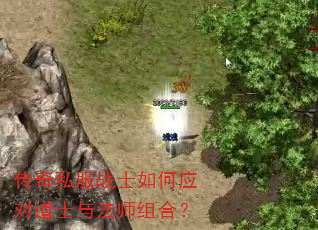 传奇私服战士如何应对道士与法师组合? 传奇私服战士如何应对道士与法师组合?