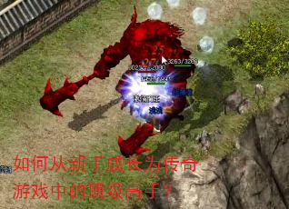 如何从新手成长为传奇游戏中的顶级高手? 如何从新手成长为传奇游戏中的顶级高手?