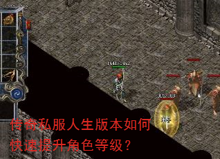 传奇私服人生版本如何快速提升角色等级? 传奇私服人生版本如何快速提升角色等级?