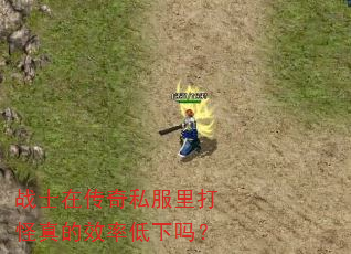 战士在传奇私服里打怪真的效率低下吗? 战士在传奇私服里打怪真的效率低下吗?