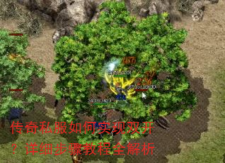 传奇私服如何实现双开?详细步骤教程全解析 传奇私服如何实现双开?详细步骤教程全解析