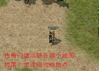 传奇归墟项链在哪个地图掉落?求详细攻略地点 传奇归墟项链在哪个地图掉落?求详细攻略地点