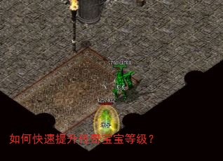 如何快速提升传奇宝宝等级? 如何快速提升传奇宝宝等级?