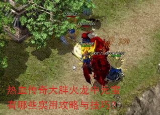 热血传奇大胖火龙中元宝有哪些实用攻略与技巧? 热血传奇大胖火龙中元宝有哪些实用攻略与技巧?