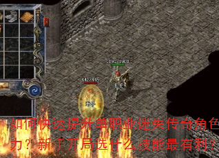 如何快速提升单职业迷失传奇角色战力?新手开局选什么技能最有利? 如何快速提升单职业迷失传奇角色战力?新手开局选什么技能最有利?