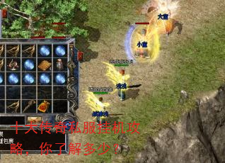 十大传奇私服挂机攻略,你了解多少? 十大传奇私服挂机攻略,你了解多少?